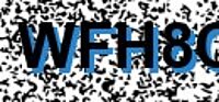 grafischer Sicherheitscode