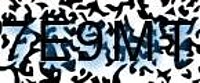 grafischer Sicherheitscode