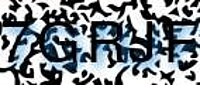 grafischer Sicherheitscode