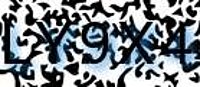 grafischer Sicherheitscode