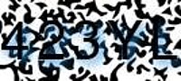 grafischer Sicherheitscode