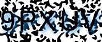 grafischer Sicherheitscode