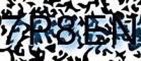 grafischer Sicherheitscode