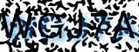 grafischer Sicherheitscode