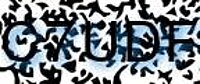 grafischer Sicherheitscode