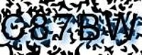 grafischer Sicherheitscode