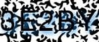 grafischer Sicherheitscode