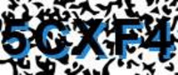 grafischer Sicherheitscode
