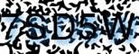 grafischer Sicherheitscode