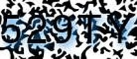 grafischer Sicherheitscode