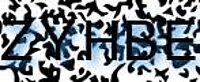 grafischer Sicherheitscode