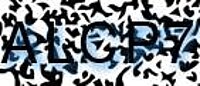grafischer Sicherheitscode