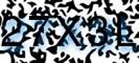 grafischer Sicherheitscode