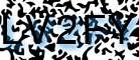 grafischer Sicherheitscode