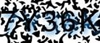 grafischer Sicherheitscode