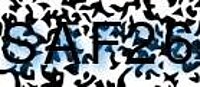 grafischer Sicherheitscode