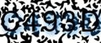 grafischer Sicherheitscode