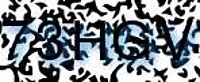 grafischer Sicherheitscode