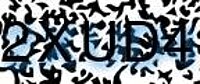 grafischer Sicherheitscode