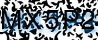 grafischer Sicherheitscode