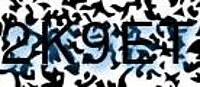 grafischer Sicherheitscode