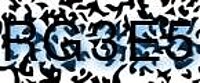 grafischer Sicherheitscode
