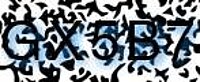 grafischer Sicherheitscode