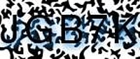 grafischer Sicherheitscode