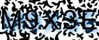 grafischer Sicherheitscode
